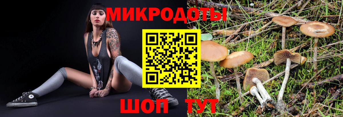 Псилоцибиновые грибы прущие грибы  Вход с VPN  Псилоцибиновые грибы мухоморы  Сергиев Посад 